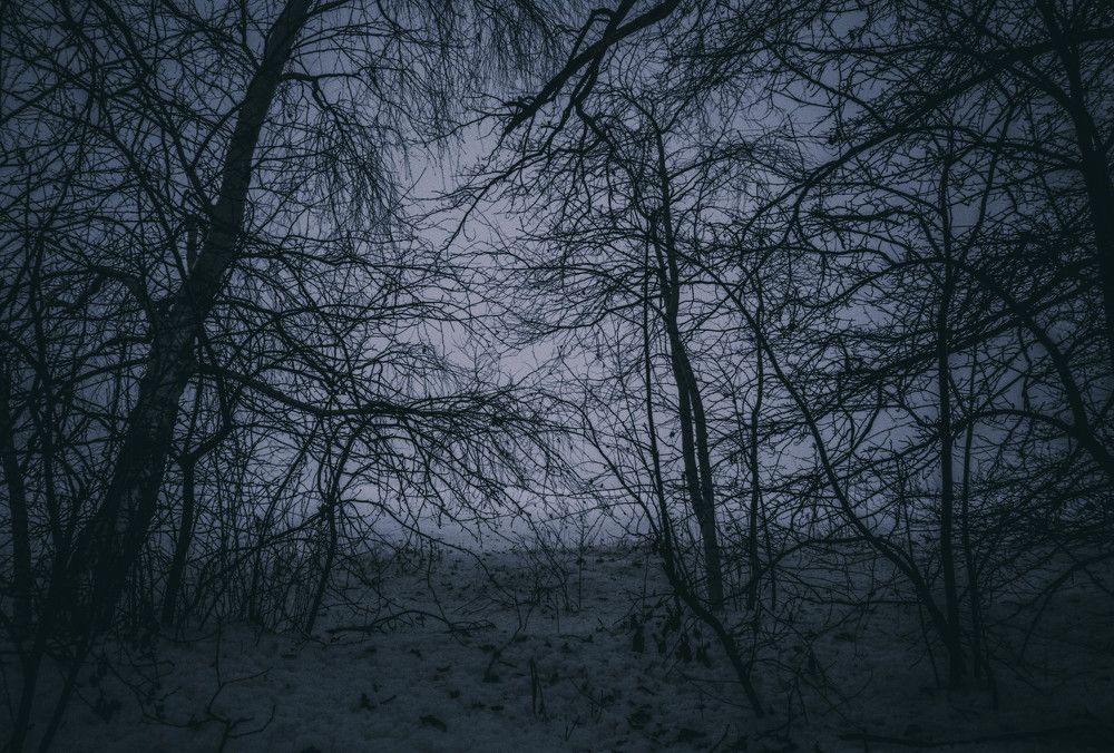 Photograph by Михаил Кручинин