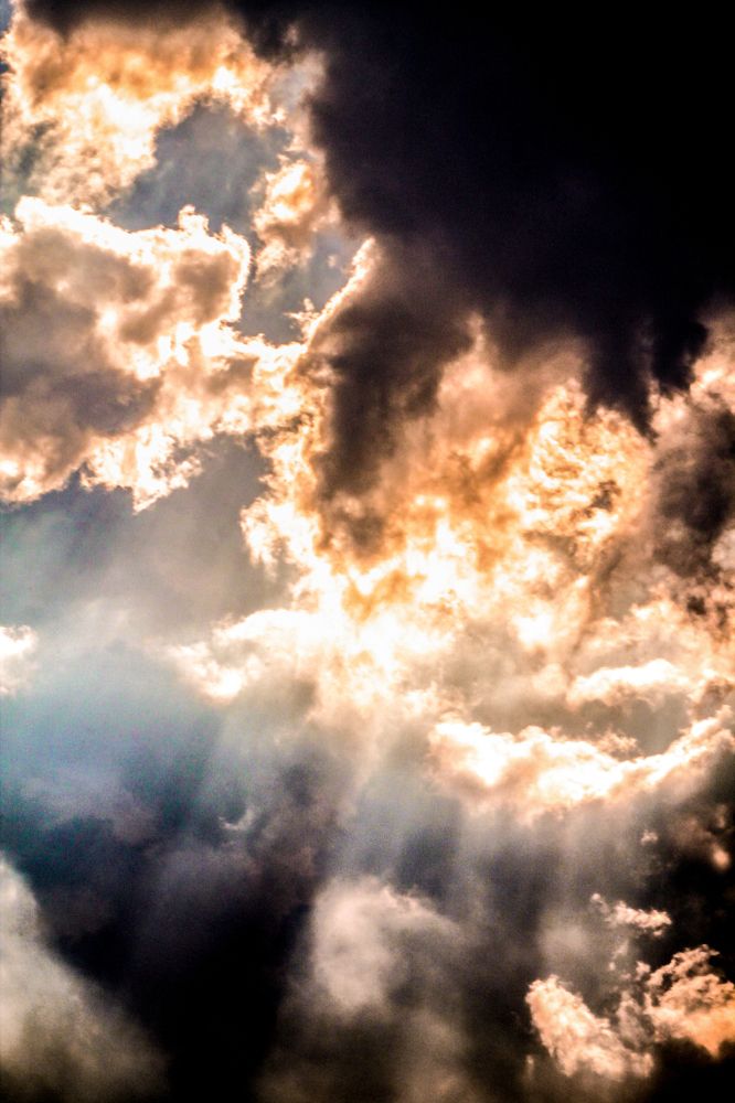 Фотография автора Gabriel de Araujo Almeida