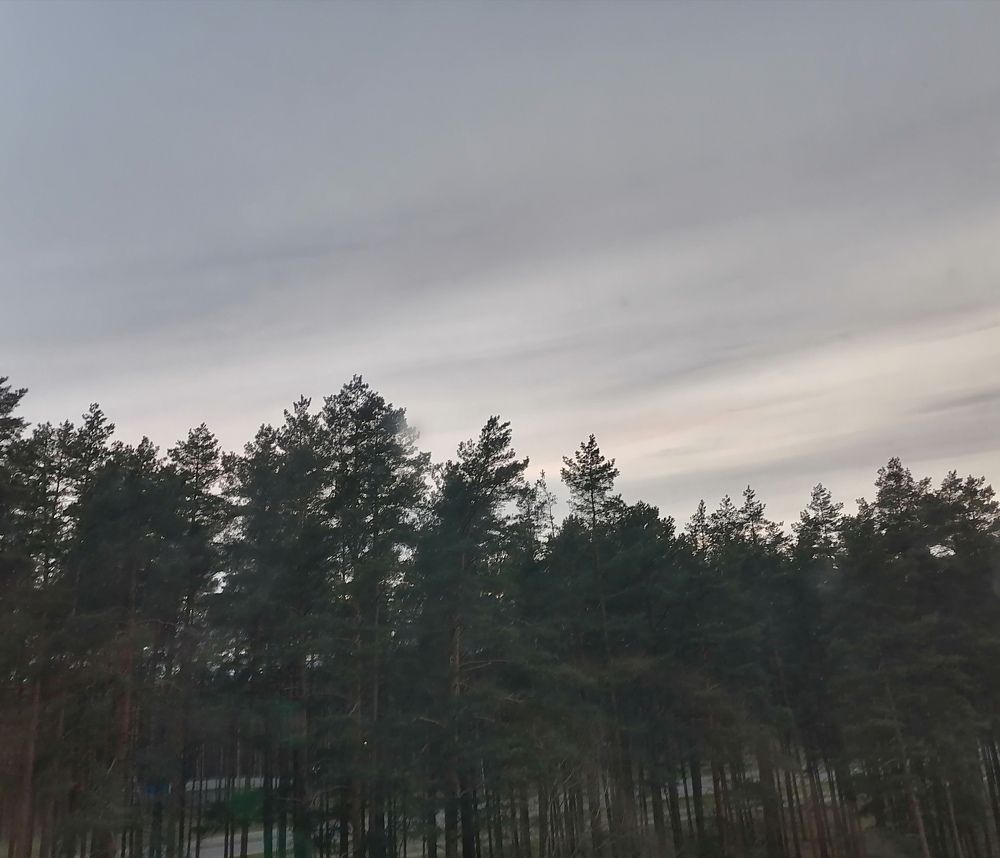 Фотография автора Оксана Зеленко