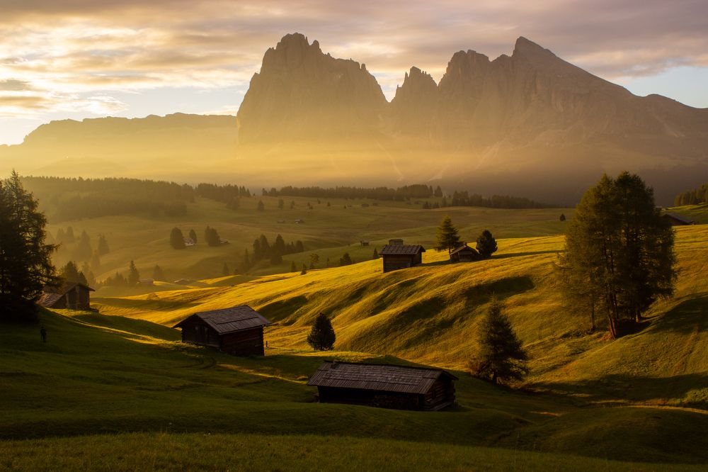 Photograph by Giena Polozhynskyi