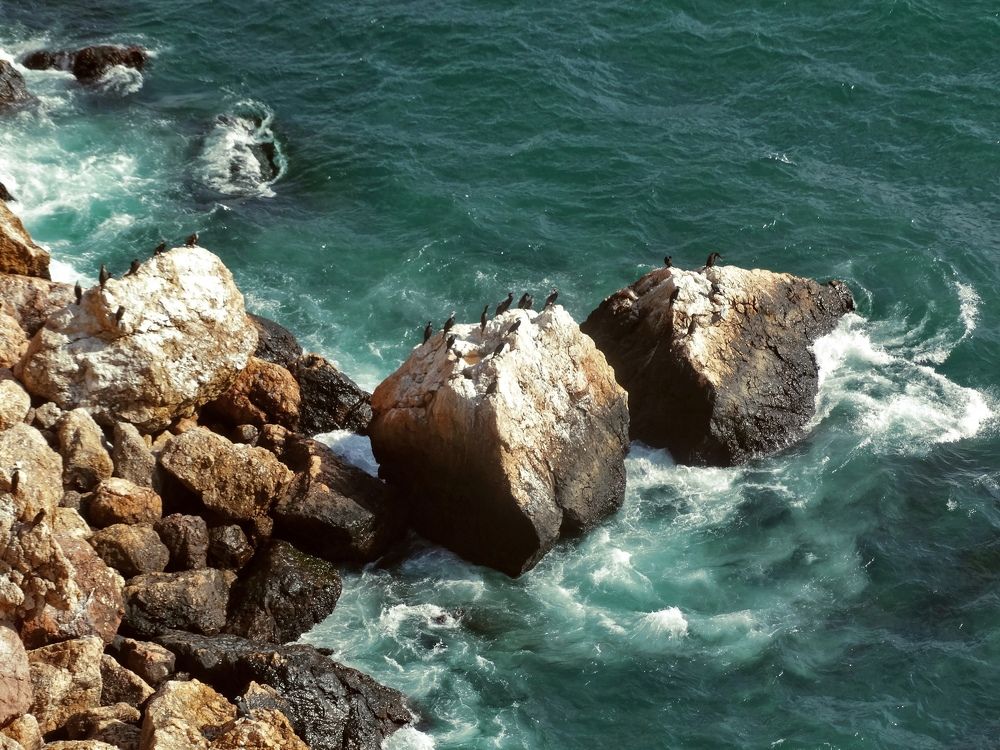 Photograph by Екатерина