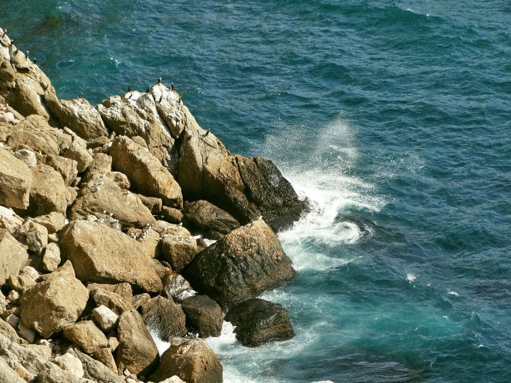 Photograph by Екатерина