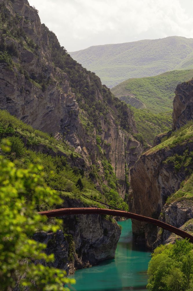 Photograph by Евгений Поздняков