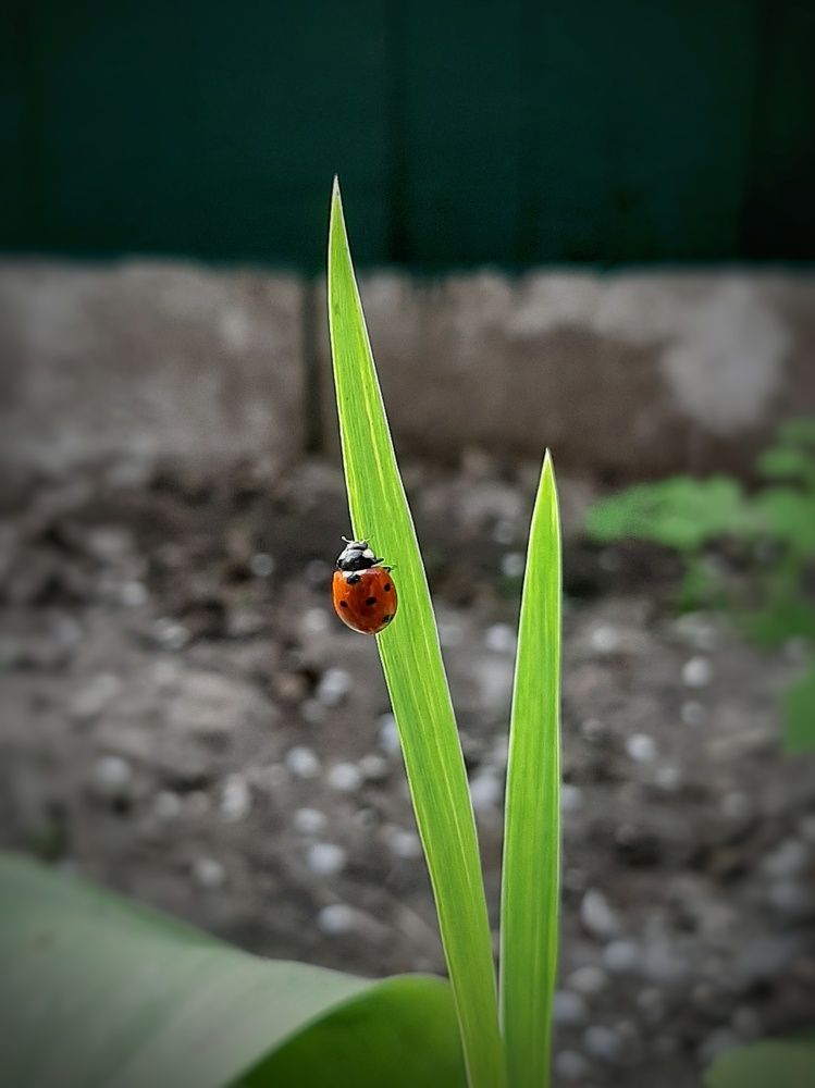 Photograph by Михаил Пасынков