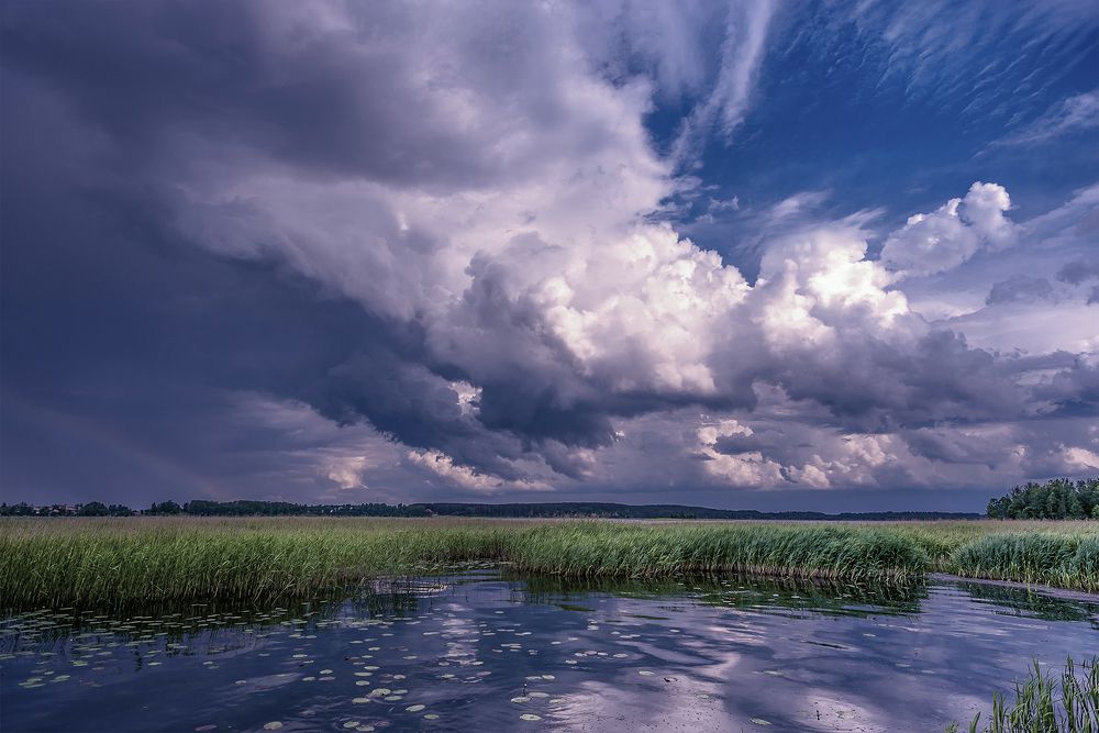 Перед грозой