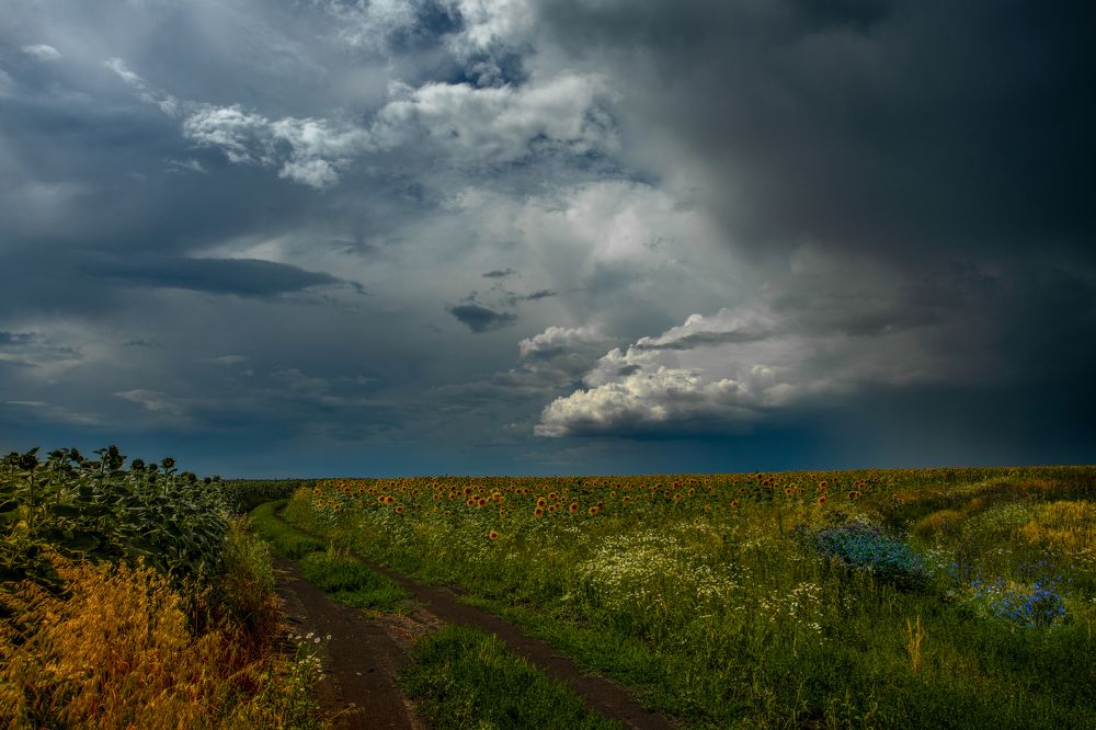 Гроза грядёт.