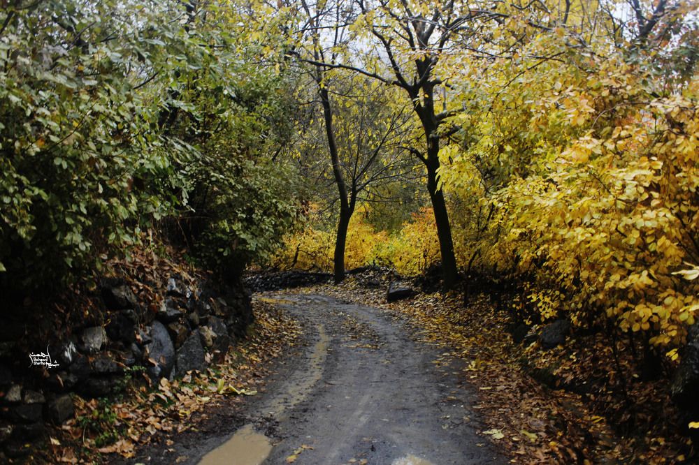 Photograph by Sherko Bahmani