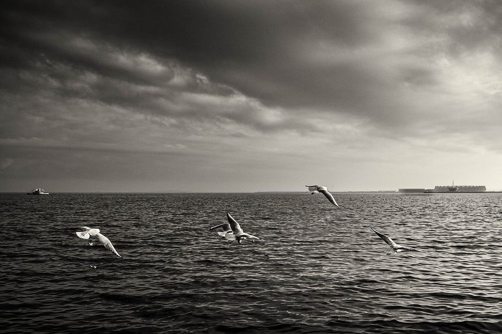 Photograph by Диляра Шарифзаде