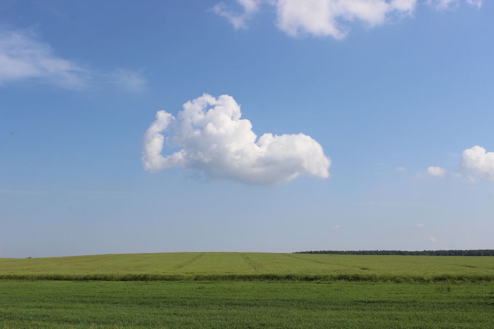 Фотография автора Катеренчук Андрей