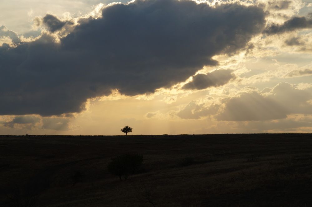 Photograph by Игорь Пекарский