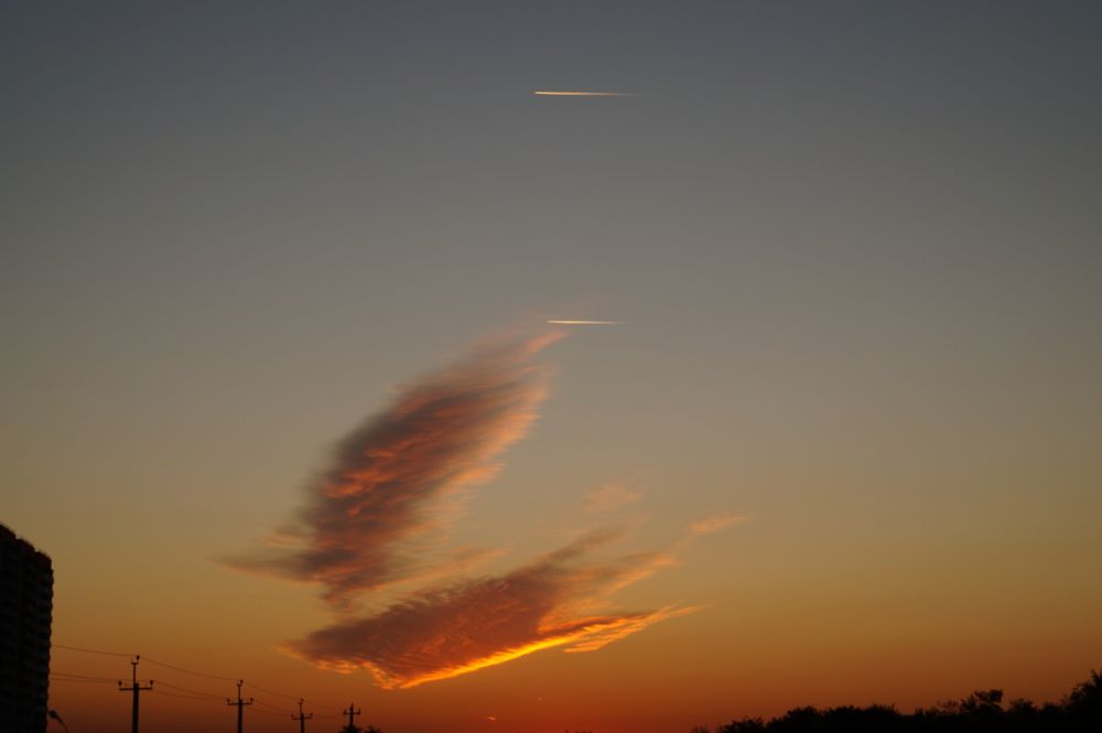 Photograph by Игорь Пекарский