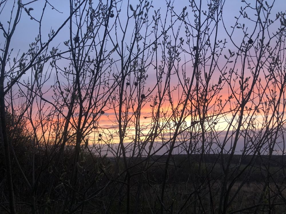 Photograph by Ольга Гаврилова