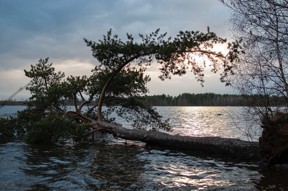 Photograph by Елизавета Белоусова