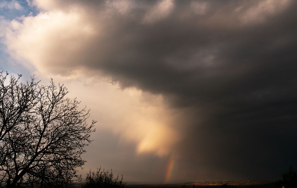 Photograph by Владимир Платонов
