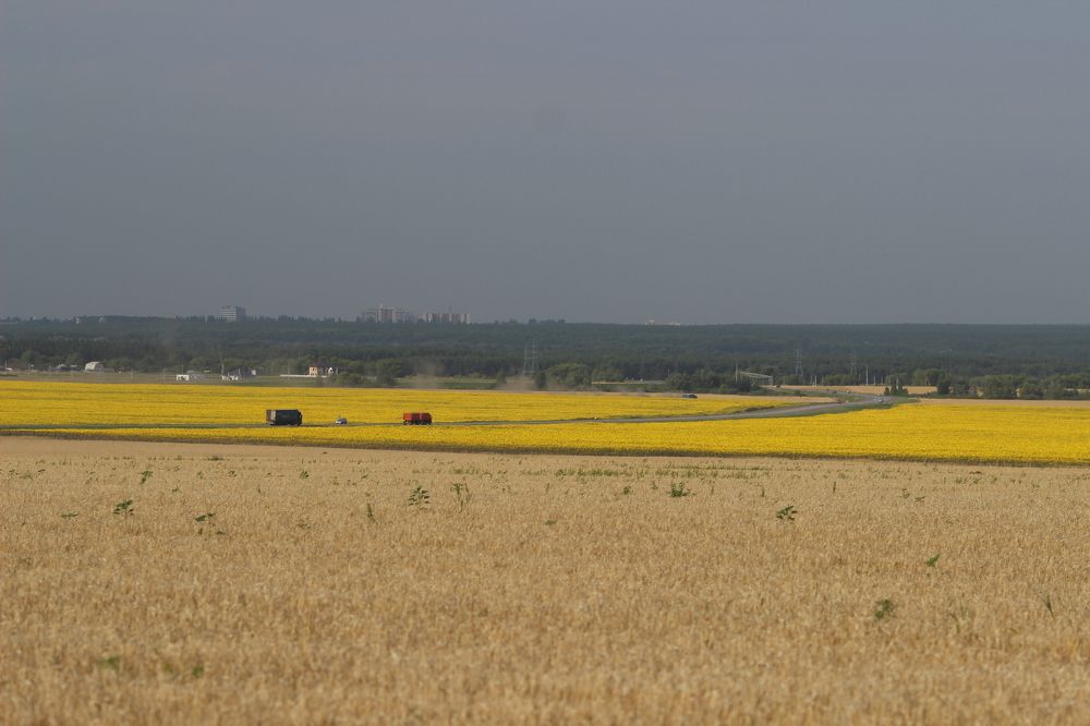 Photograph by Мария Попова