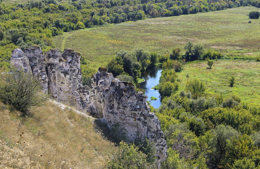 Река Тихая сосна. Воронежская область
