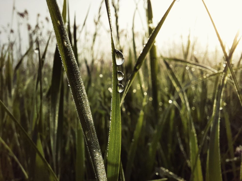 Photograph by Даниил