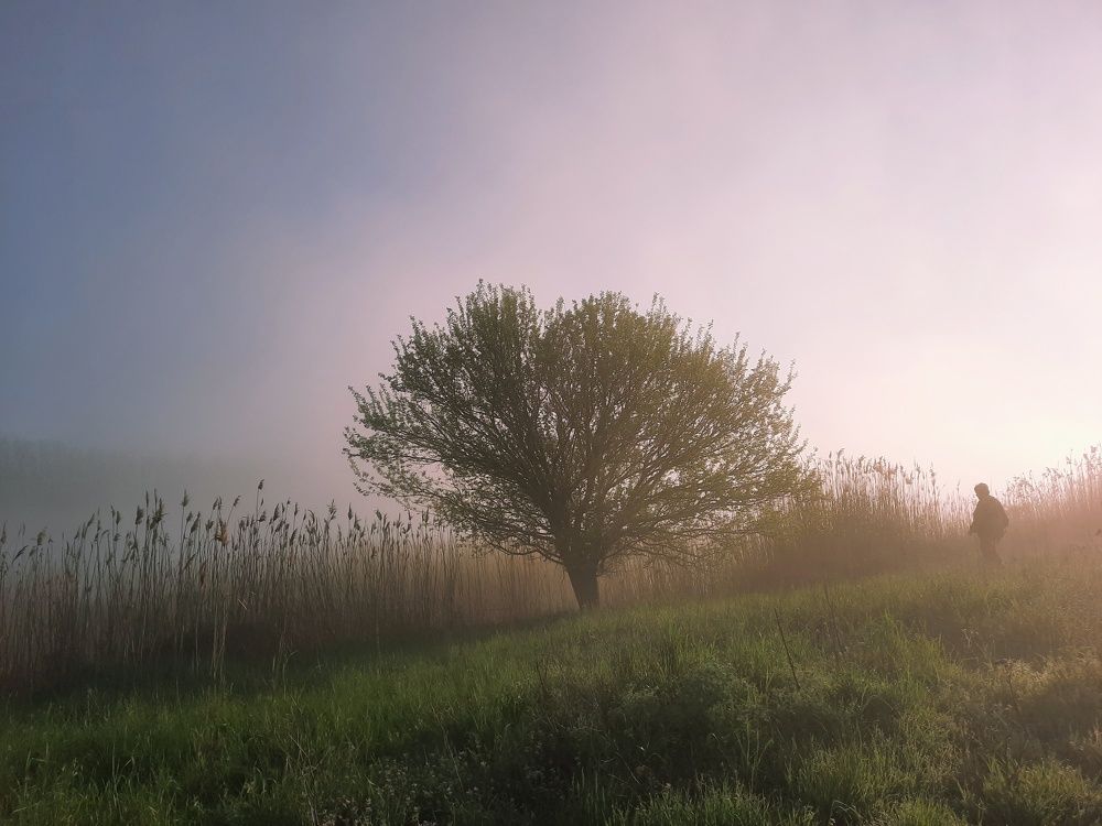 Photograph by Даниил