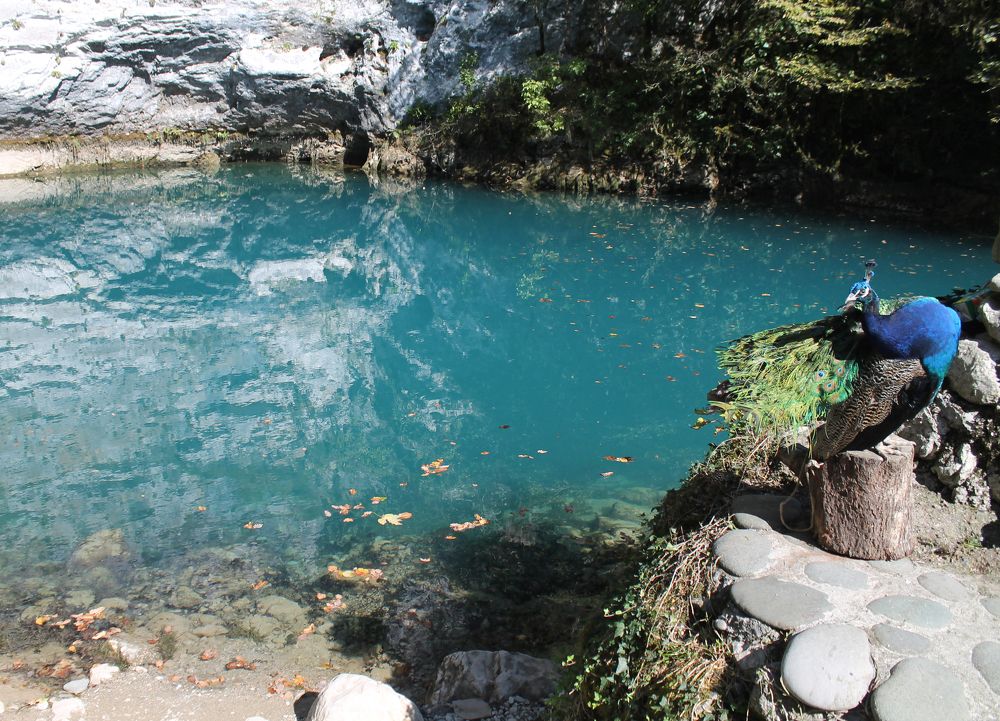 Photograph by Галина