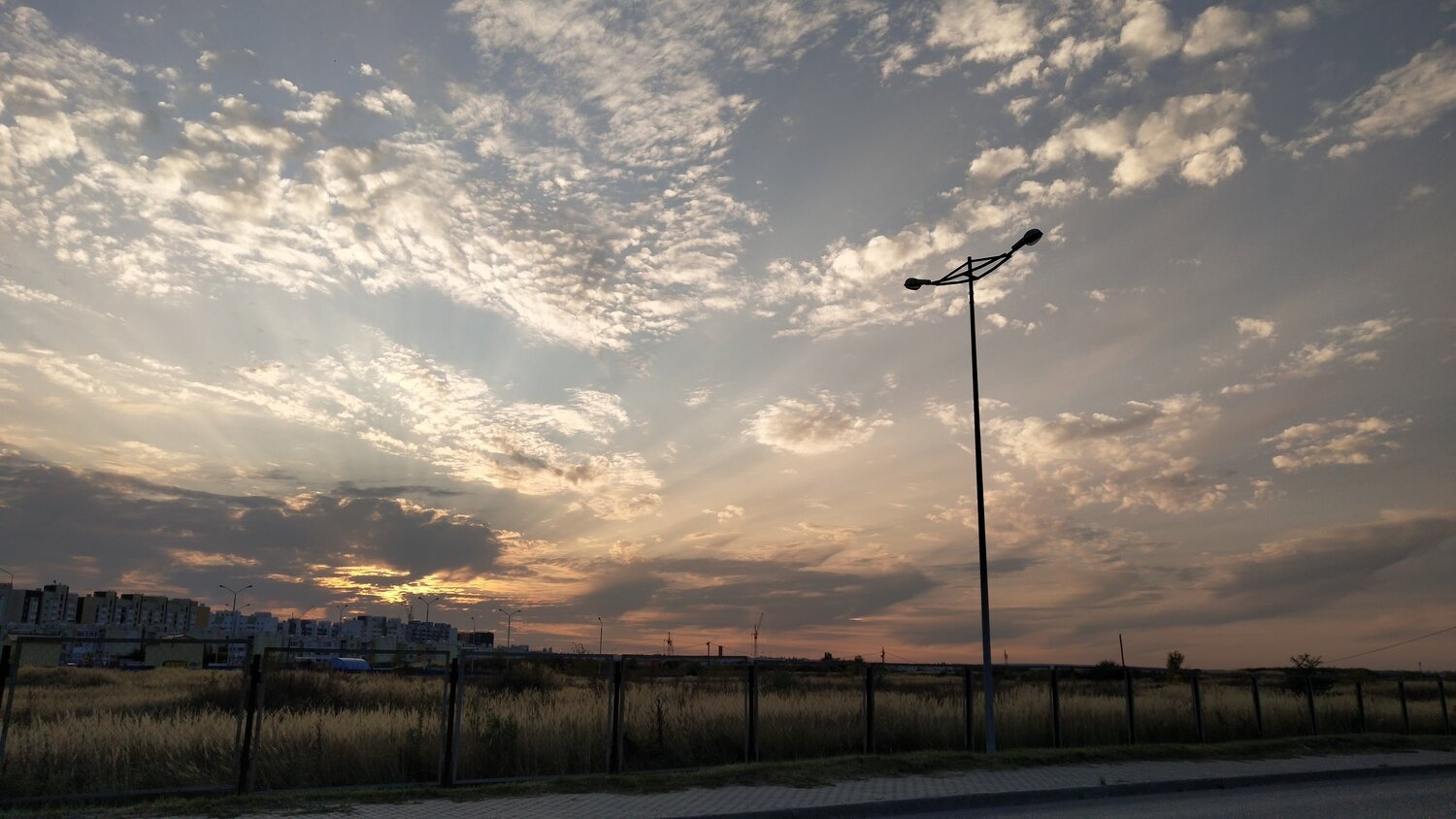 Photo #6064657