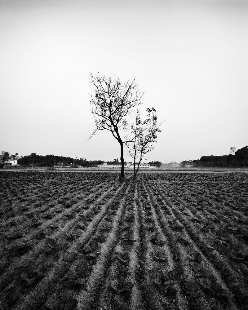 Фотография автора PRADIPTAMOY PAUL