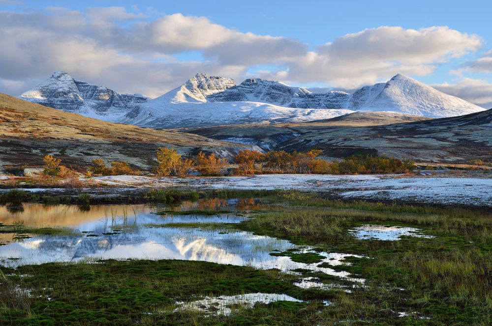 Фотография автора Олеся Боева