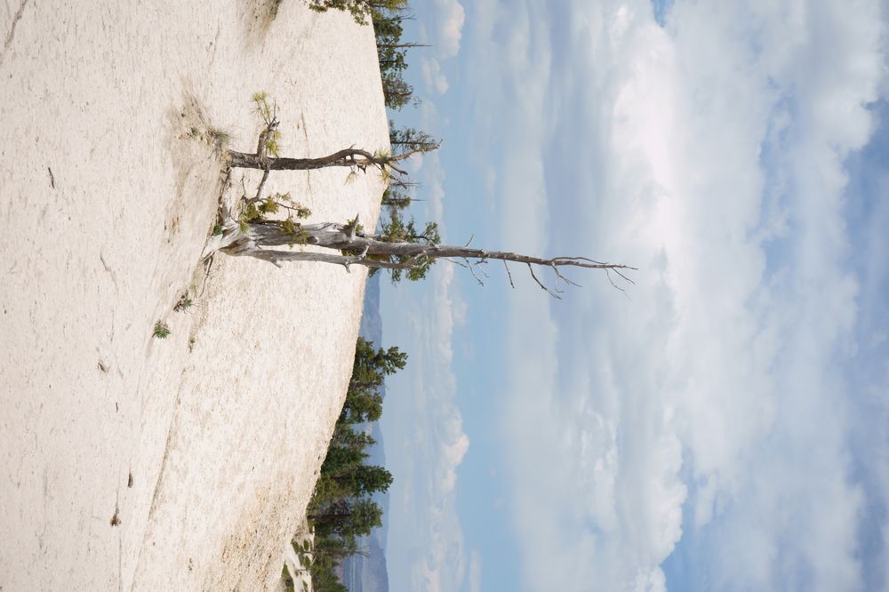 Фотография автора Земскова Дарья