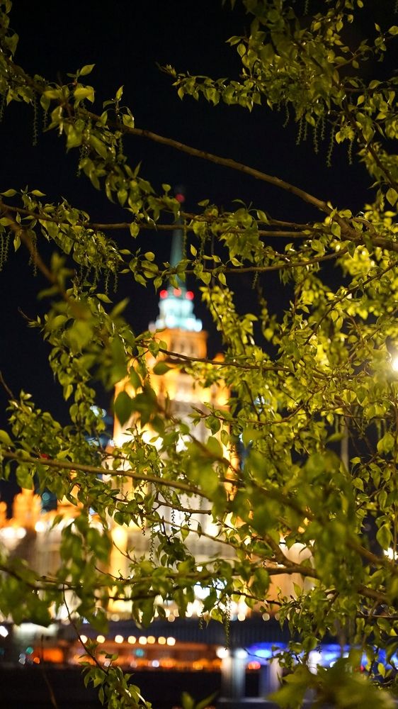 Фотография автора Slim Soyadi