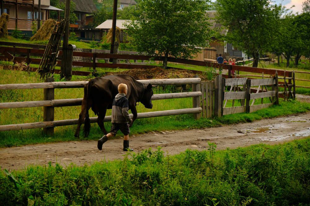 Photograph by Александр Серняк