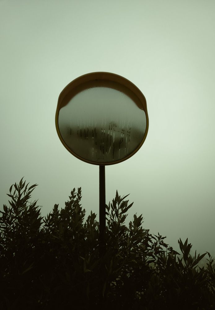 Foggy Morning