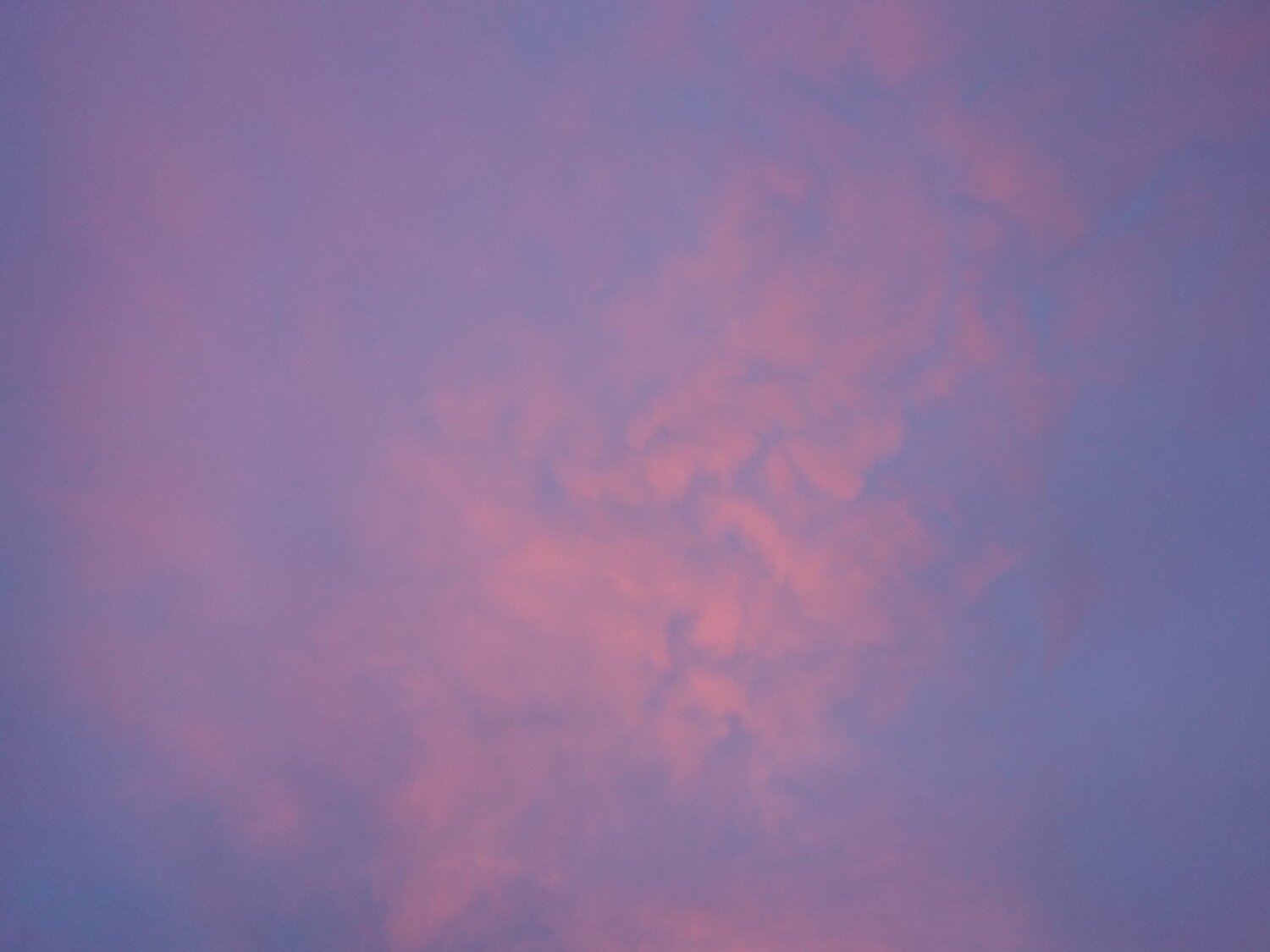 Photo #6064829
