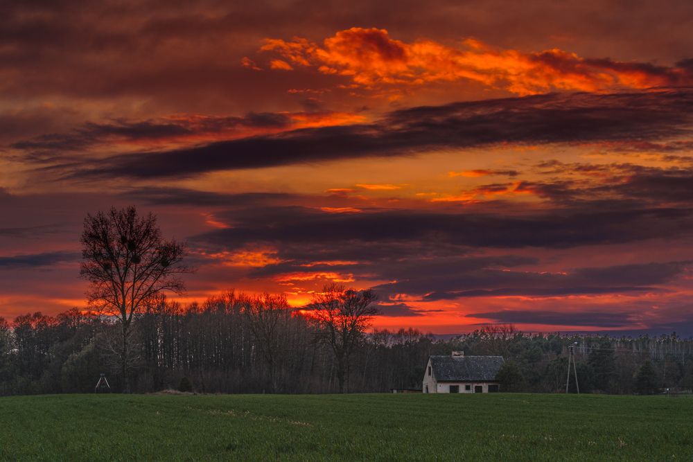 Sunset - Biebrza National Park