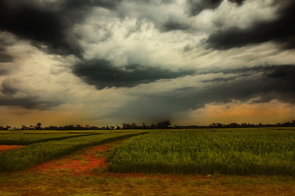 Photograph by Adriana Claudia Gallardo