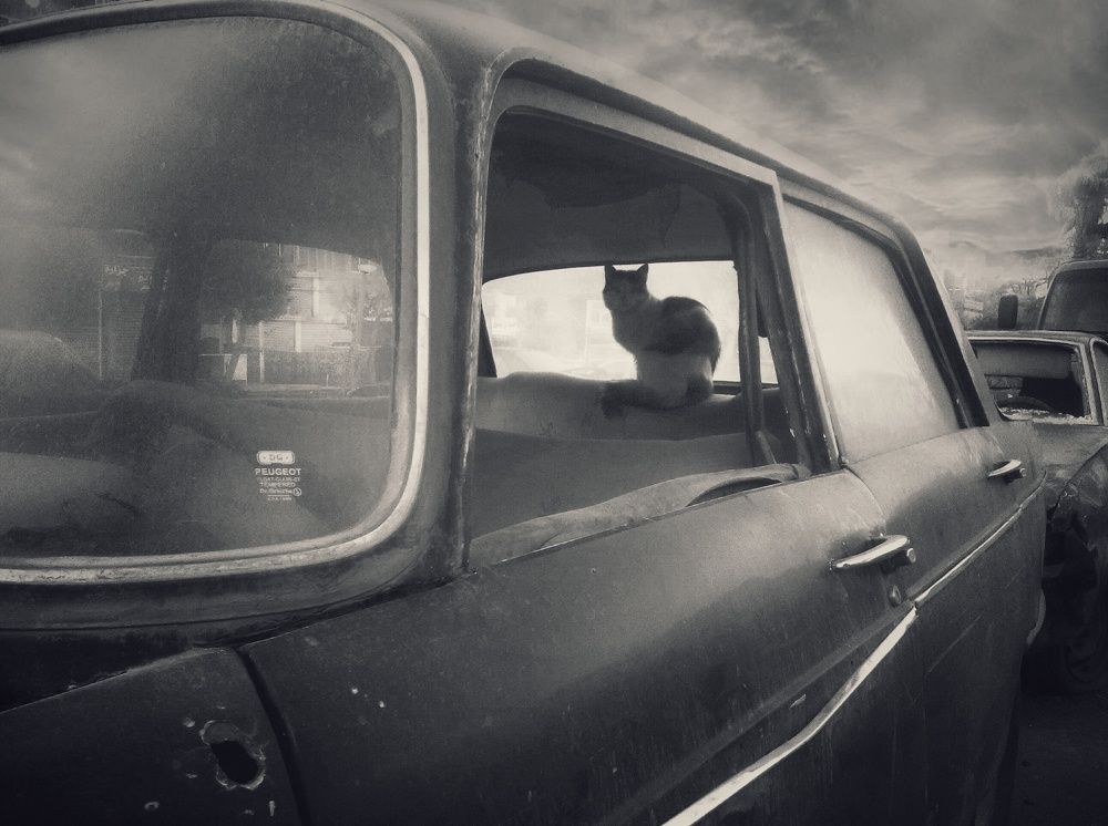 Photograph by Mohammad Rasheed