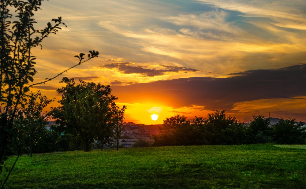 Photograph by Николь Пышненко