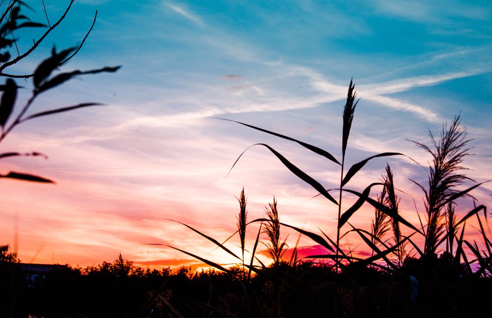 Photograph by Николь Пышненко