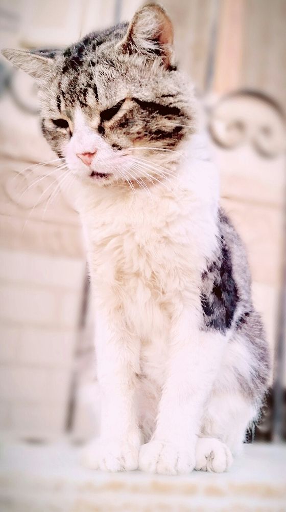 Photograph by Mohammad Rasheed