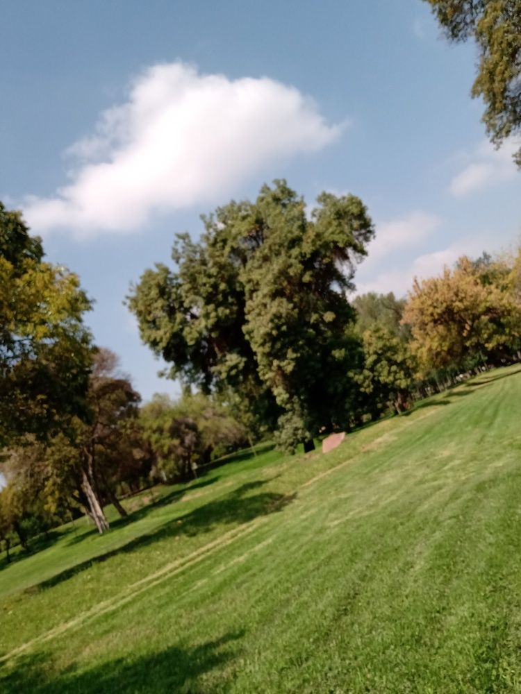 Photograph by Carlos Alberto Martínez González