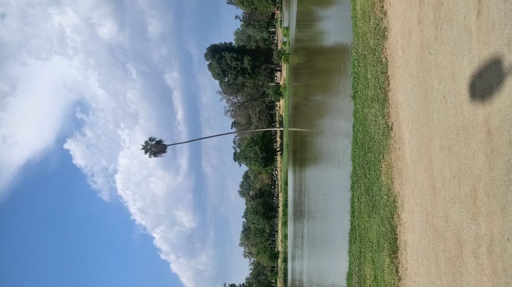 Photograph by Carlos Alberto Martínez González