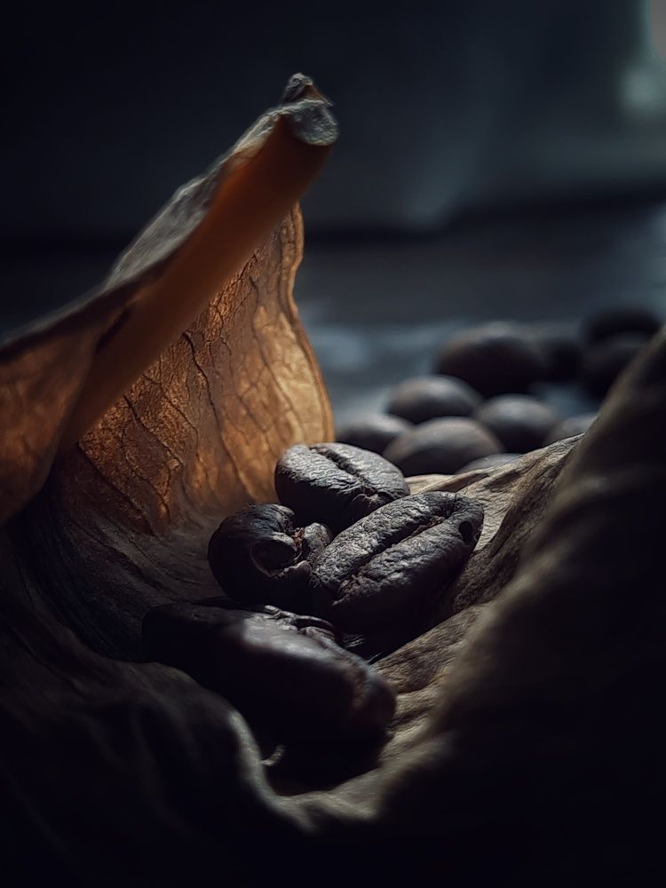 Photograph by Елена Леоненко