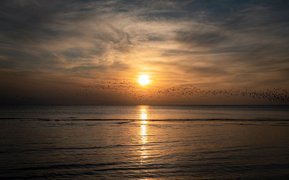 Photograph by Youcef Guellal