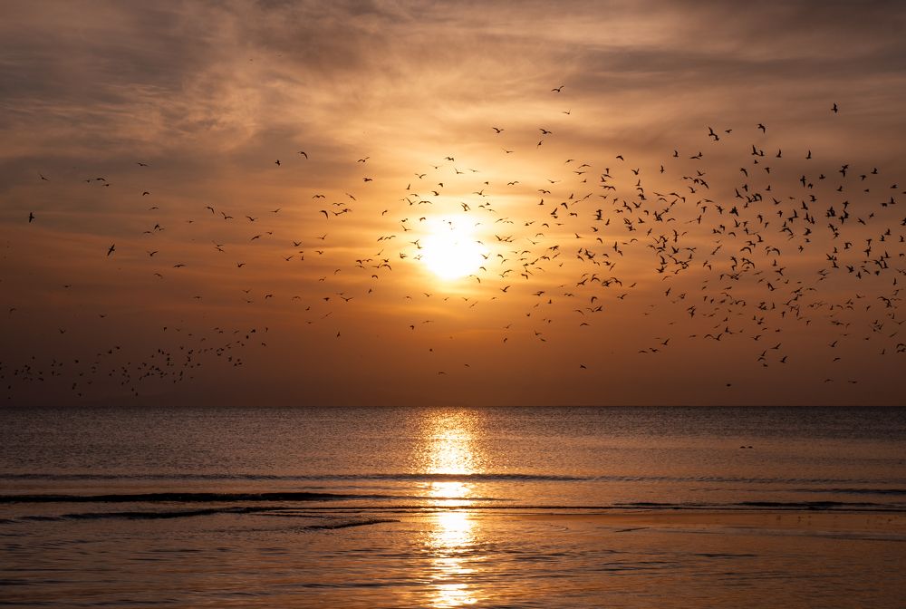 Photograph by Youcef Guellal