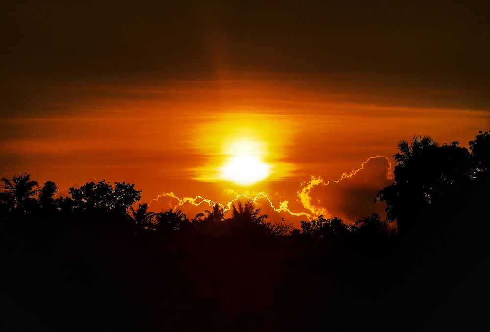 Photograph by Sharel Albor