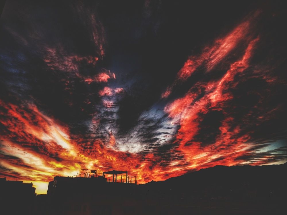 Photograph by Hannaneh Akhoondi