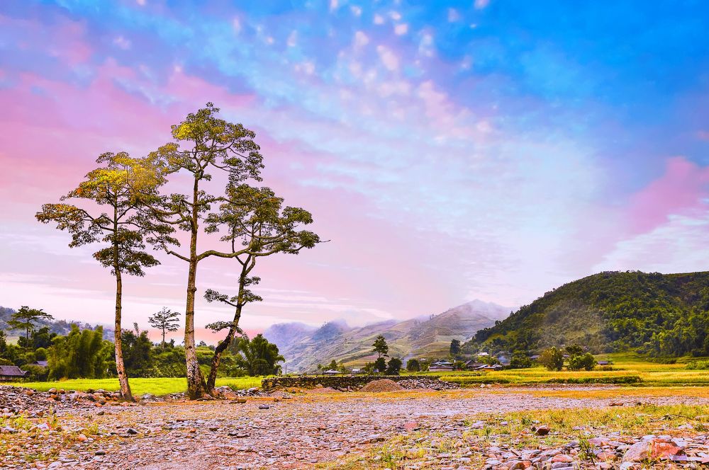 Photograph by PHUONG NGUYEN THANH