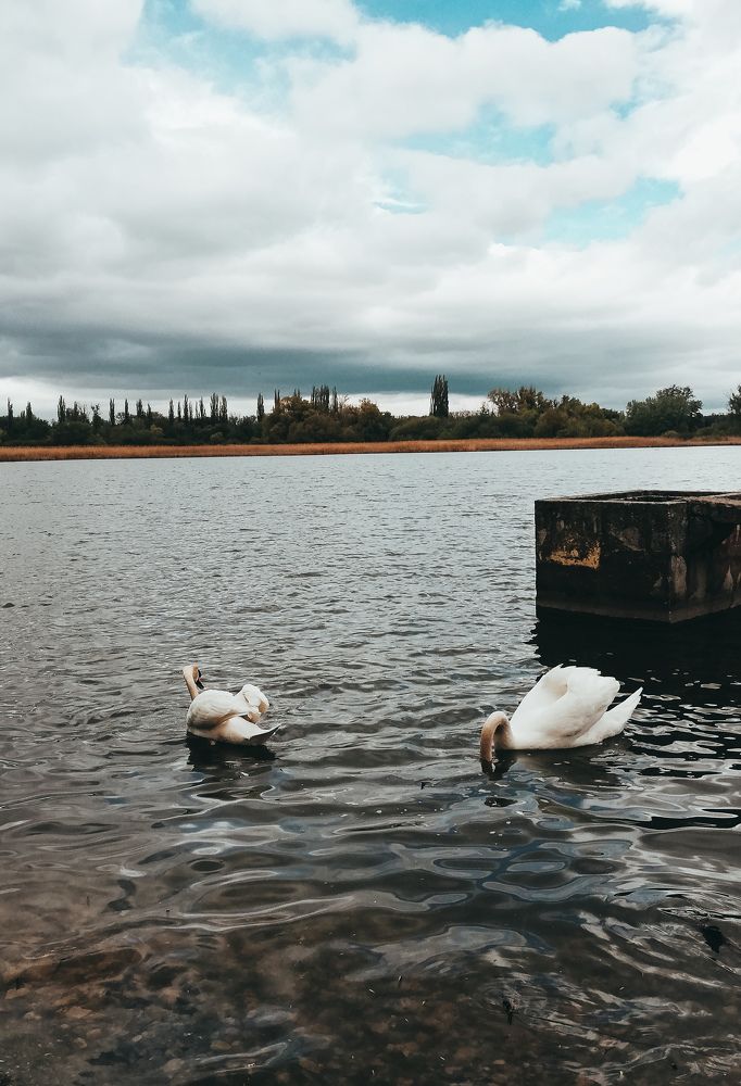 Sunday walks around lake