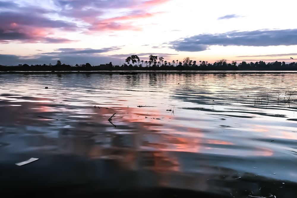 Фотография автора Adel elqamhawi Mohamed