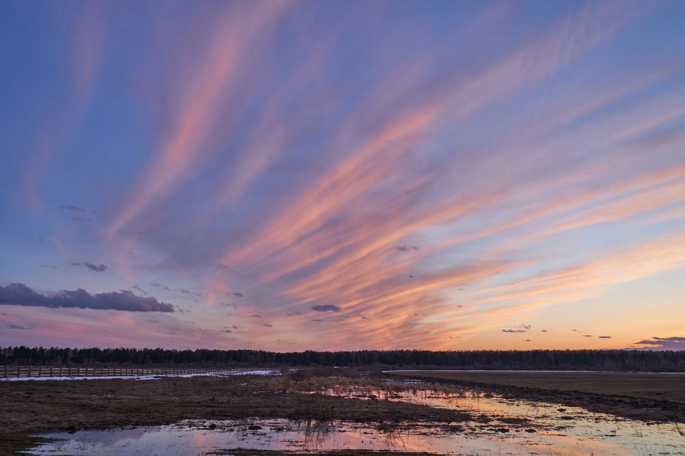 Photograph by Андрей Колеватов