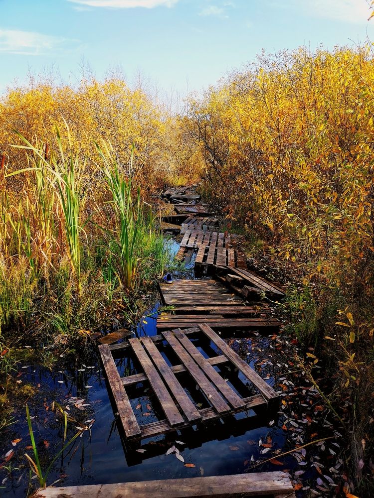 Photograph by Олег Кипкаев