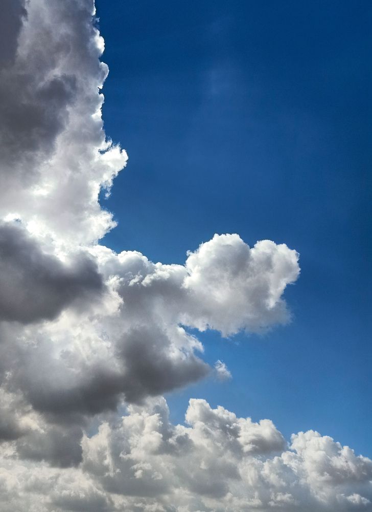 Photograph by Amaal Farrag